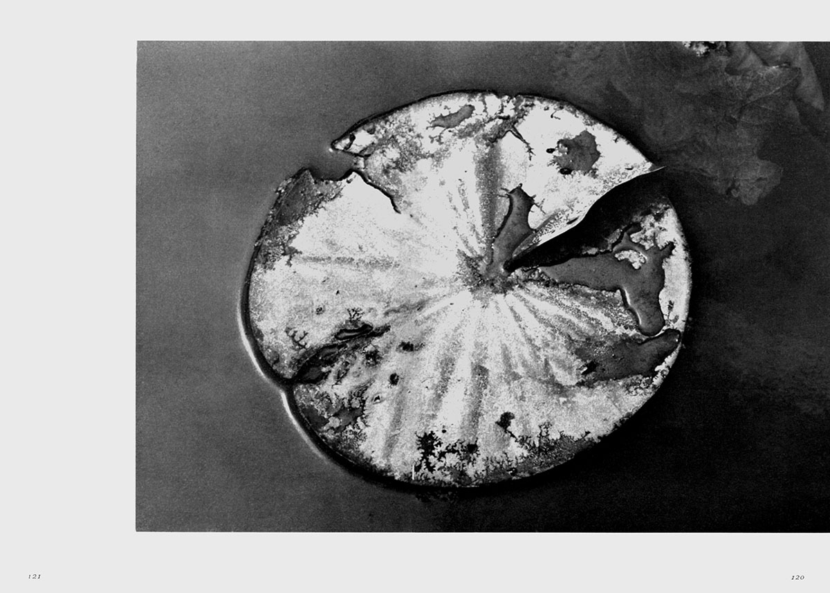 Portada del fotoálbum Joukyou 1965 (Conditions 1965), de la publicación oficial de la Asociación Japonesa de Estudiantes de Fotografía, año 1966. - 