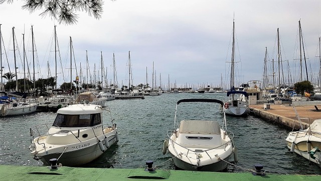 Los clubes náuticos se eximen de responsabilidad en el estado del Mar Menor