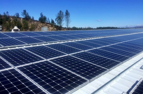 Granjas Solares invertirá 10 millones en la primera planta que volcará energía a la red de Alicante