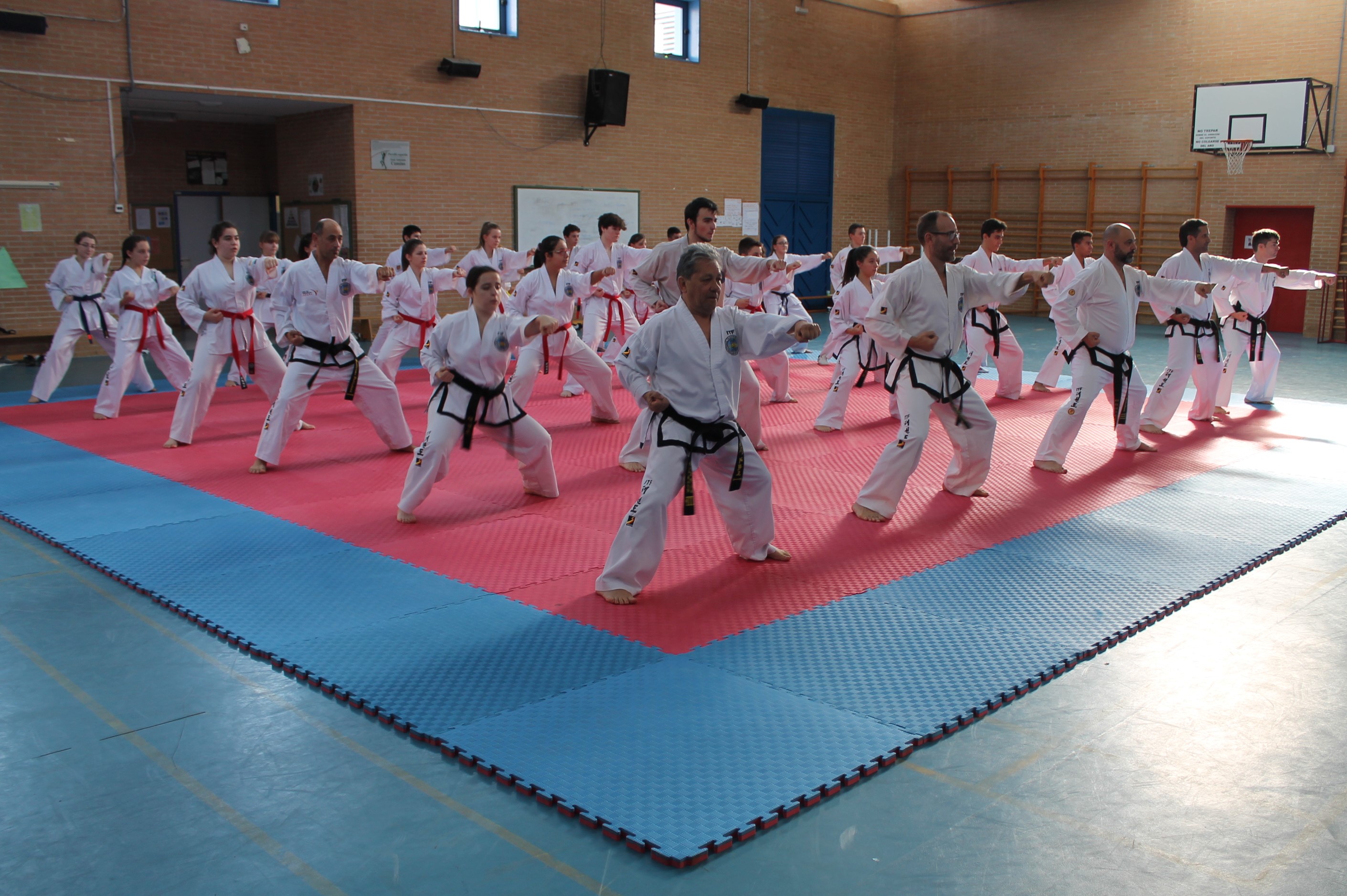 El taekwondo se exhibe en el IES Violant de

Casalduch de Benicàssim