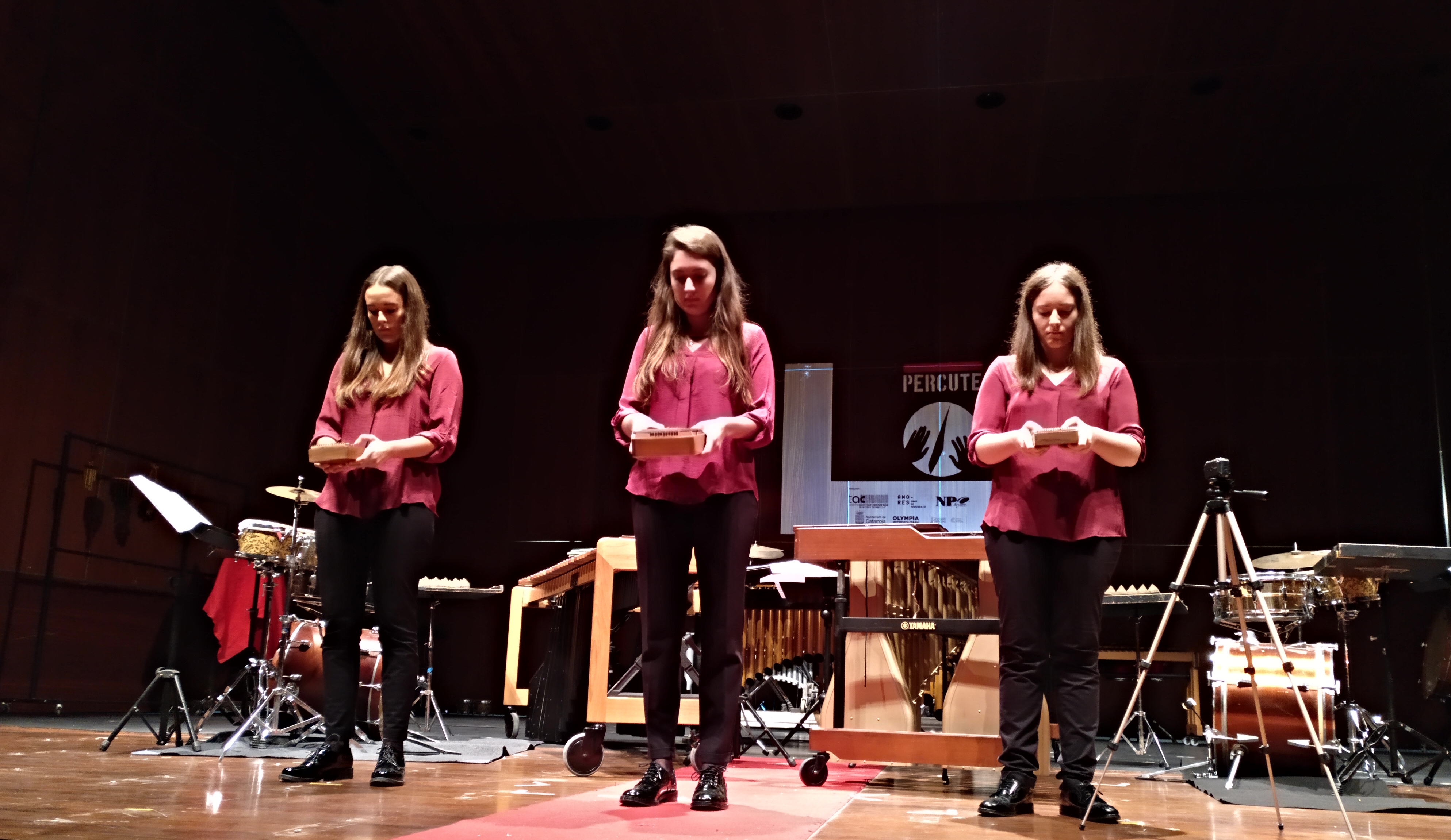 El festival de percusión Percute invita al internacional Nico Gerstmayer