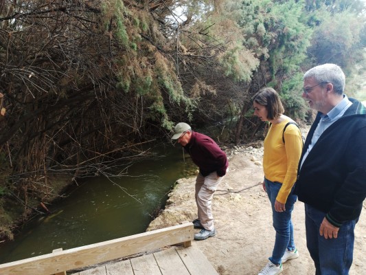 Medio Ambiente
repara la ruta del Pantano de Elche tras los desperfectos de la gota fría