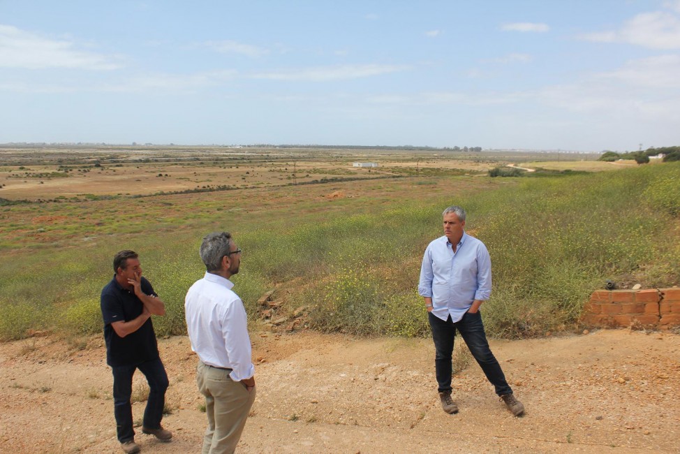 Dirigentes de Germán Sancho y Cía, en un campo de Huelva comprado hace unos años. - 