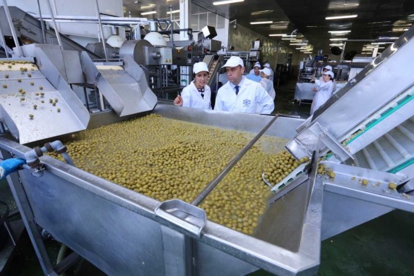 Aceitunas Cazorla factura un 3% menos por la 'guerra de precios' pero mantiene el beneficio