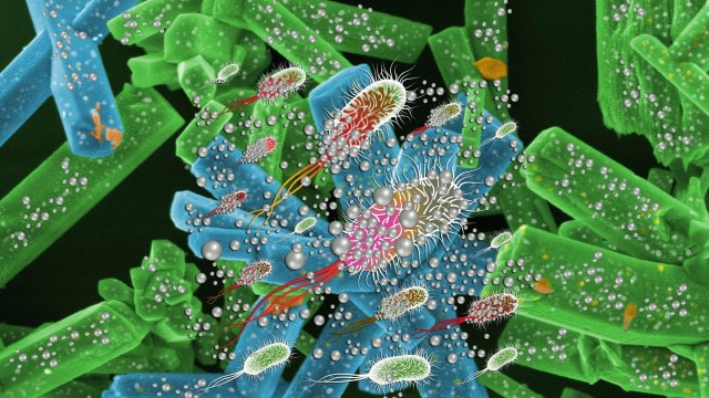 Investigadores de la UJI crean un nuevo material con propiedades antitumorales y antifúngicas