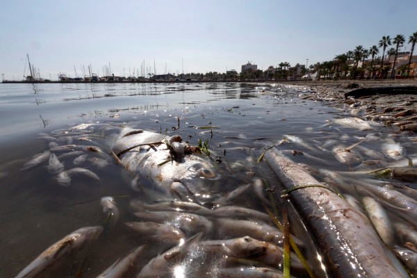 ¿Todavía tiene solución el Mar Menor?