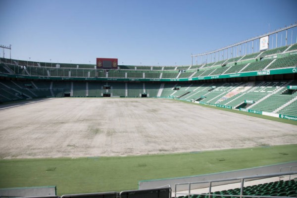 El Elche comienza este lunes la resiembra de césped de su estadio
