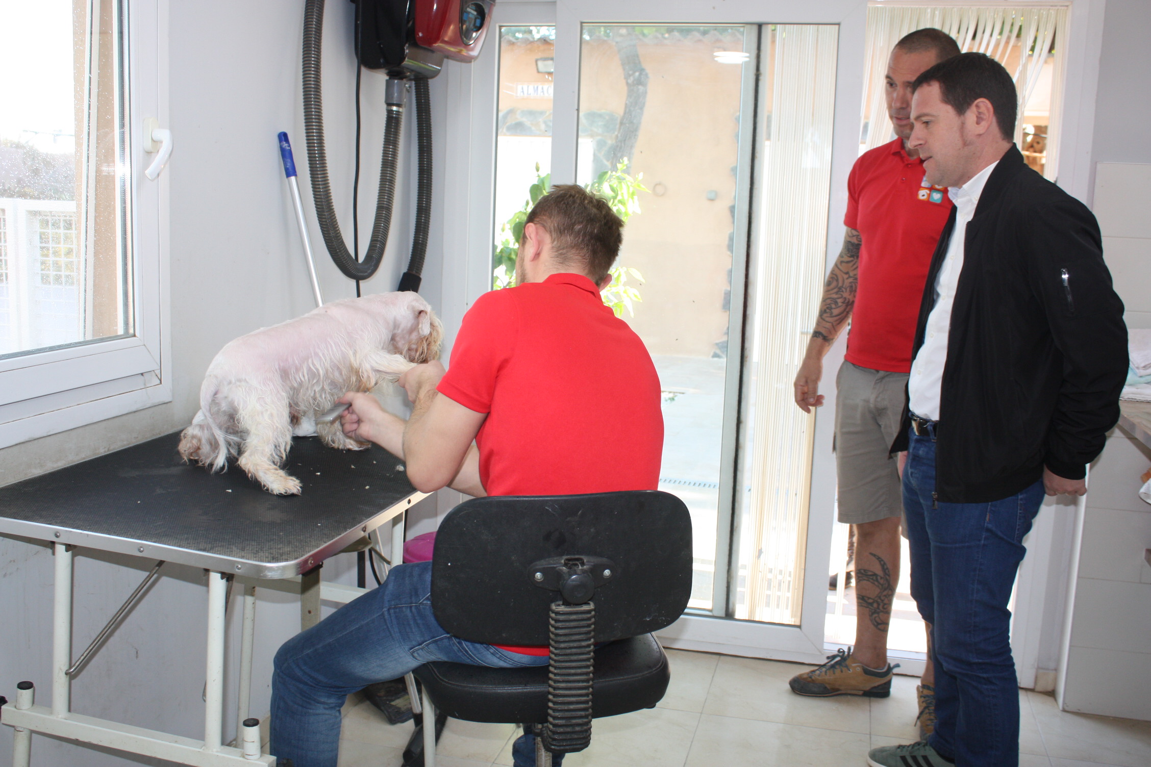  El servei municipal de rescat d'animals de Castelló supera les 150 adopcions i torna altres 80 als amos