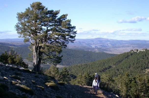 Turisme, Diputación y Asociación Intermunicipal, juntos para hacer más turístico el Penyagolosa