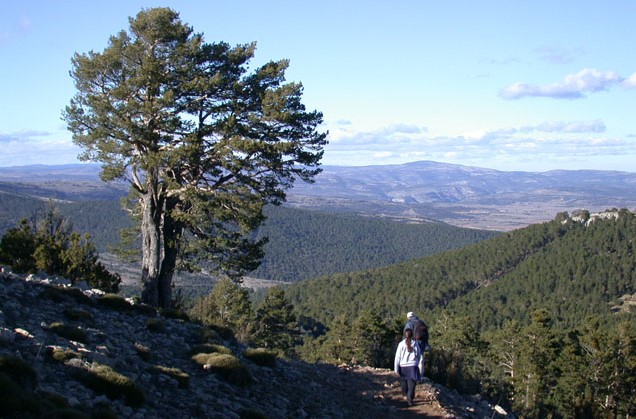 Turisme, Diputación y Asociación Intermunicipal, juntos para hacer más turístico el Penyagolosa