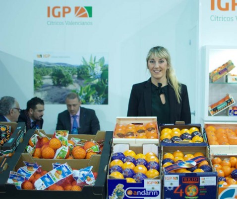 Cítricos Valencianos suma 15 empresas más y ya agrupa a más de medio centenar