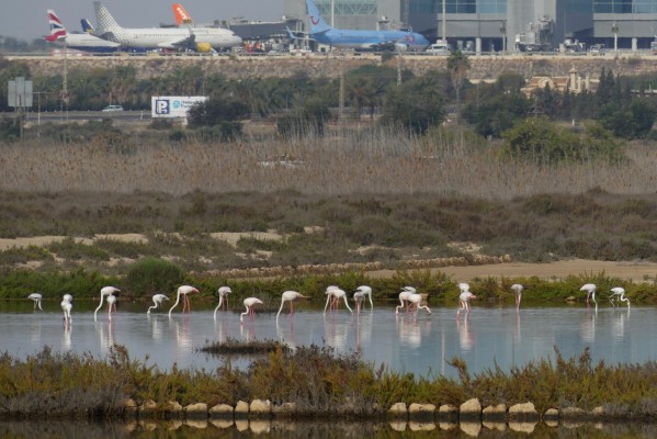 Estas son las actuaciones de paisaje que el Pativel plantea en Alicante y Elche por 16 millones