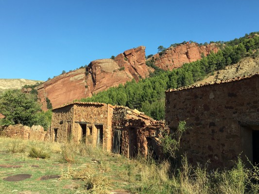 Inútils funcionals del segle XXI

