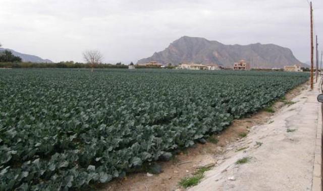 El sector agroalimentario de la Comunitat exporta por valor de 1.889 millones hasta febrero