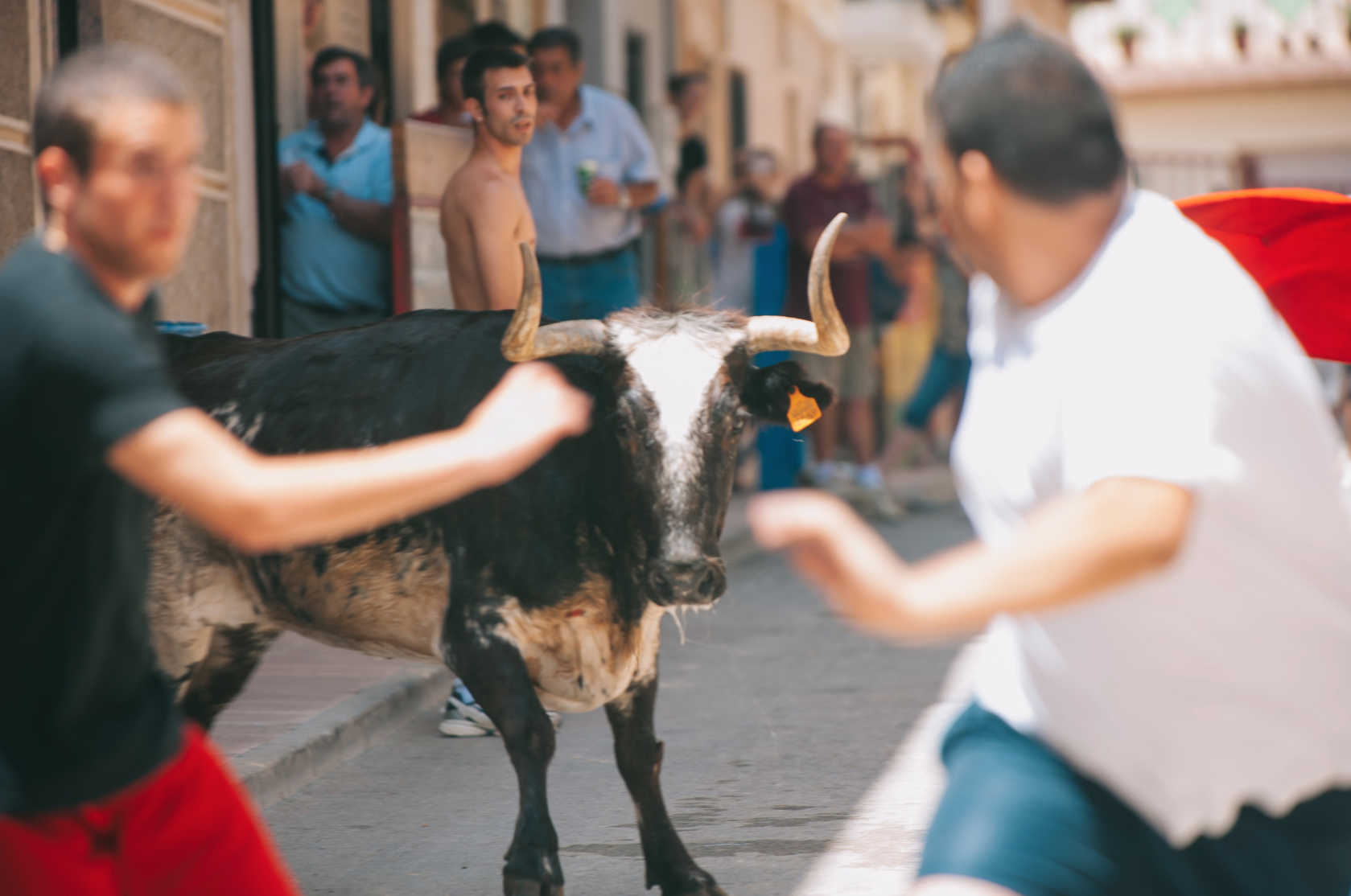 Tradiciones en 
vías de extinción