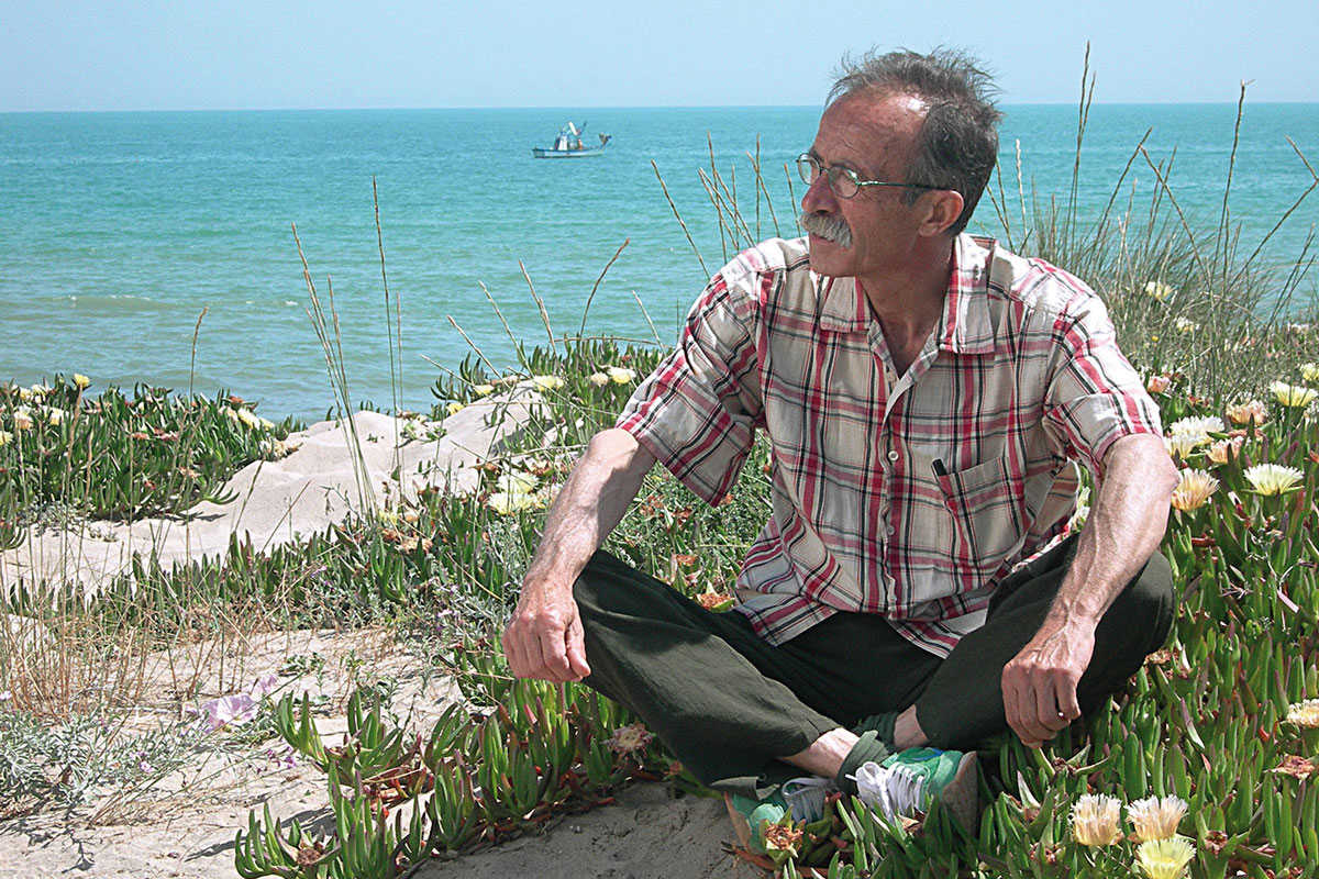 Diània i altres meravelles