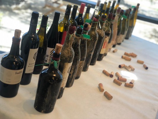 Pago de Carraovejas prueba la Bodega Submarina con 70 botellas que madurarán en 6 meses
