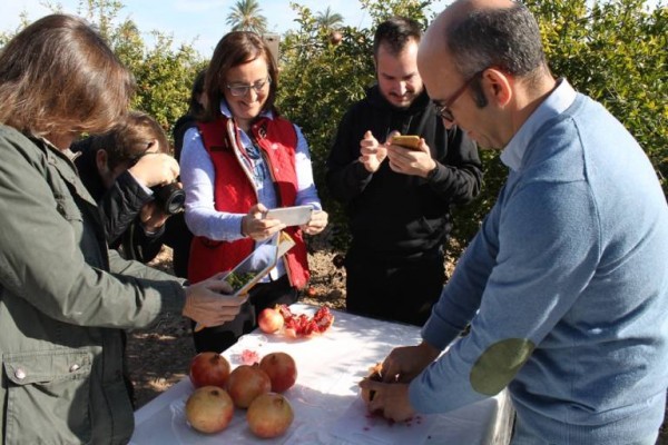 El director de jamones Joselito inaugurará la campaña de la granada mollar de Elche