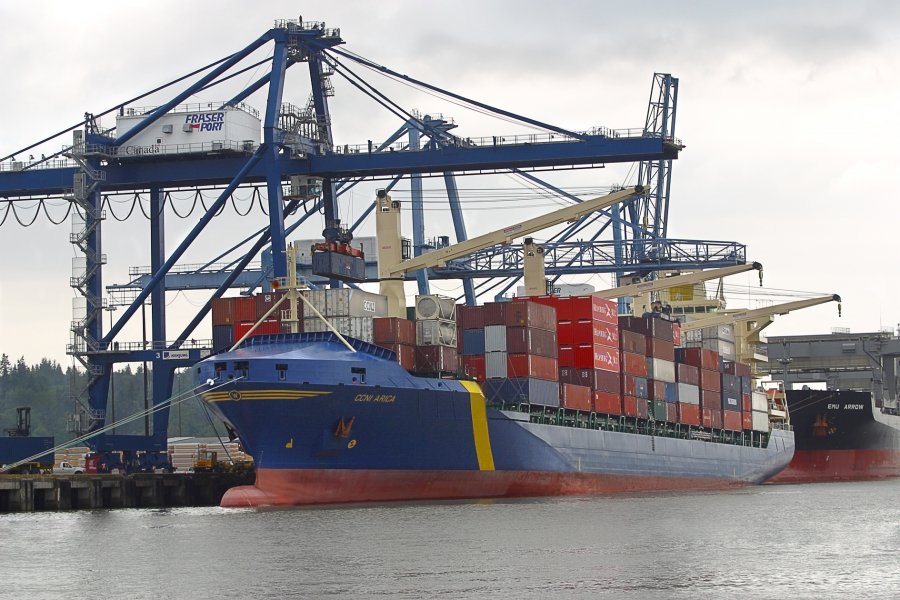 Sudáfrica ya suma esta campaña 17 detecciones de plagas en sus envíos citrícolas con destino a la UE