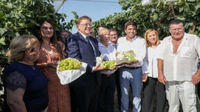 Estrellas Michelin y soles Repsol de la provincia se reunirán para conocer la Uva del Vinalopó