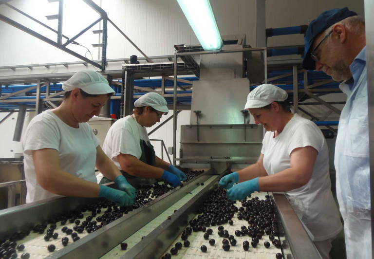 Instalaciones de Aceitunas Cazorla en Alicante. Foto: RAFA MOLINA