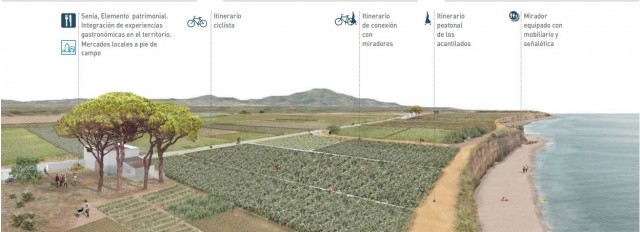El Pativel plantea un parque agrario en Benicarló para potenciar la alcachofa como recurso turístico