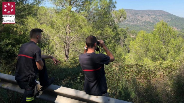 Abatidos los dos toros de lidia escapados de una ganadería de Tales