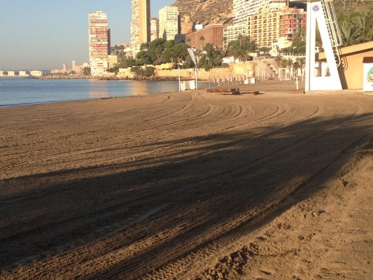 Alicante recupera la playa de la Albufereta con la reposición de arena tras los temporales de lluvia 