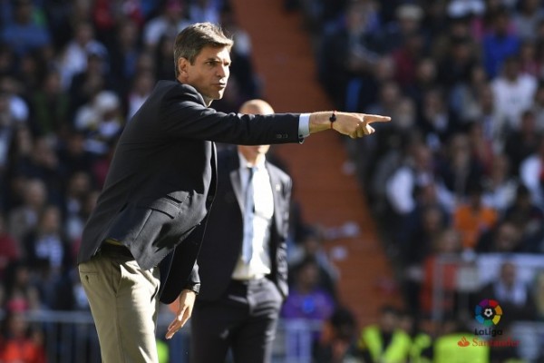 Pellegrino: 