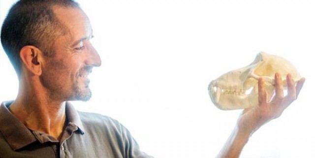 Cavadas avisa que la investigación biomédica no puede depender de los vientos políticos