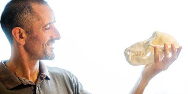 Cavadas avisa que la investigación biomédica no puede depender de los vientos políticos