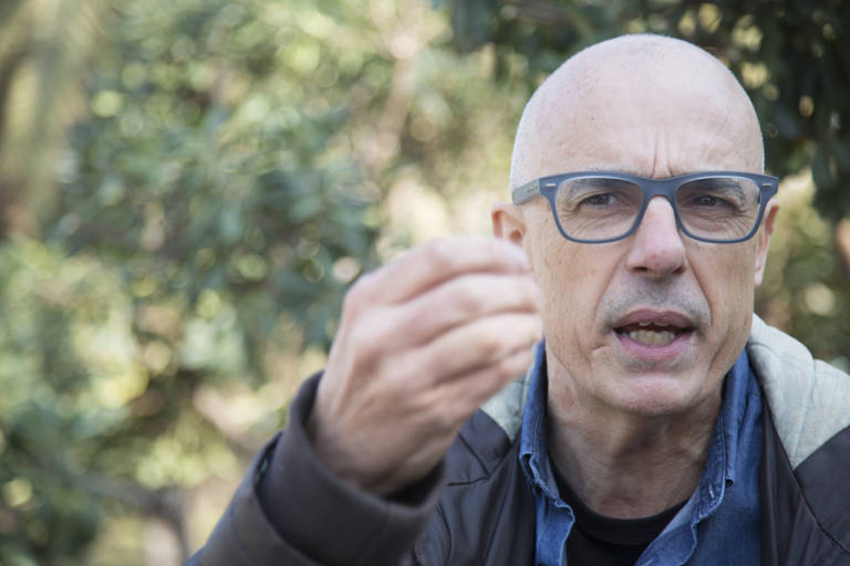 Julià Álvaro vuelve a entrar en el Botànic