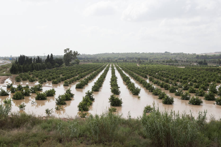 Foto PEPE OLIVARES - 