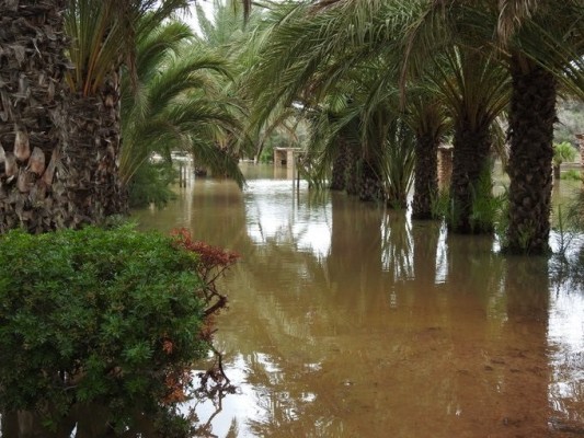 Elche evalúa los daños tras las lluvias, que han afectado especialmente al litoral y a colegios con barracones 