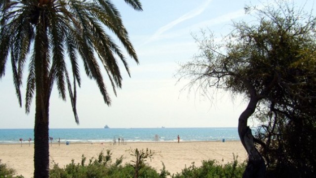 Leroy Merlin organiza una limpieza en la playa del Serradal en Castellón