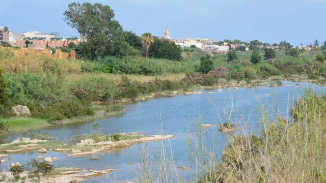 La Desembocadura del Millars lleva agua de forma permanente desde junio