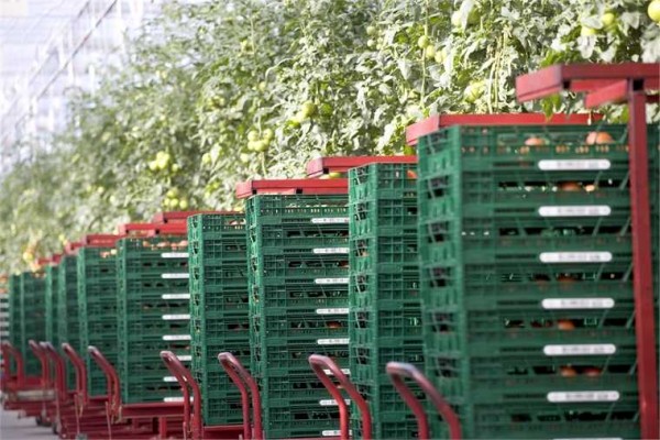 Euro Pool System factura un 6% más en 2018 hasta 175 millones y se anota 3 de beneficio