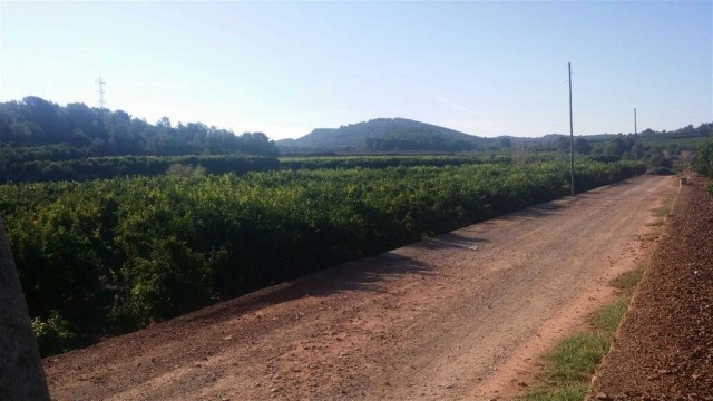 Riba-roja reactiva la Comisión de Porxinos para investigar un presunto 