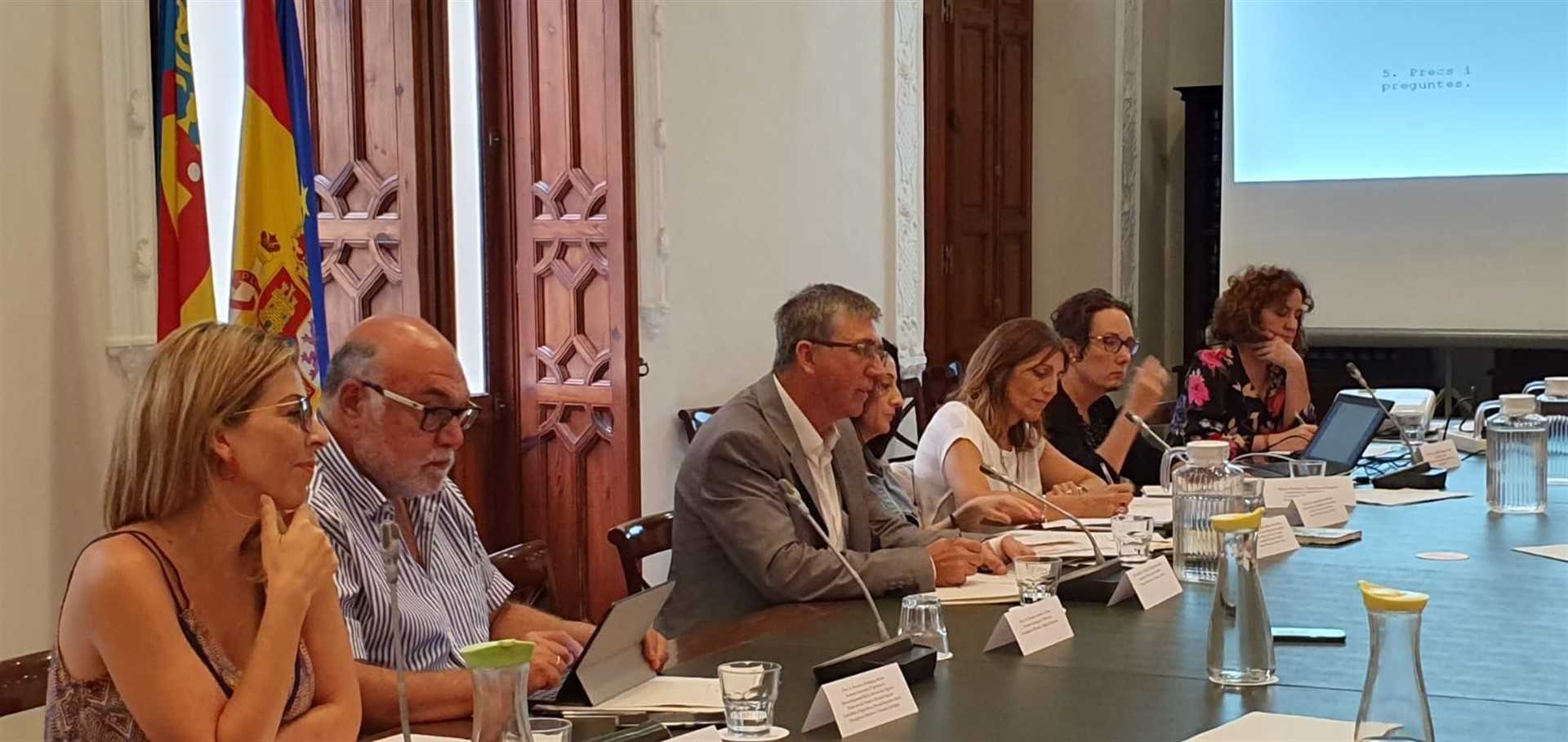Climent anuncia una línea de ayudas fotovoltaicas o minieólicas en 2020