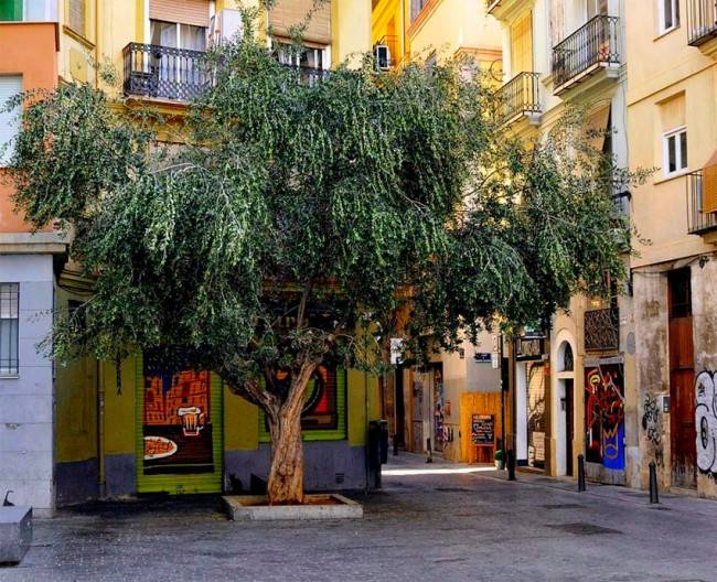 Inician las obras de un edificio de viviendas en la Plaza del Árbol paralizadas desde 2011