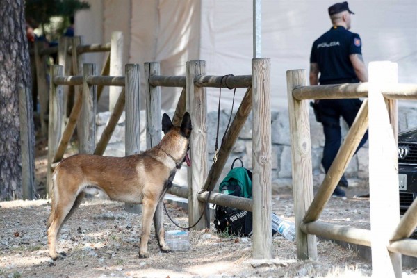 Hallan un cadáver de mujer en la zona de Cercedilla en la que buscan a Blanca Fernández Ochoa