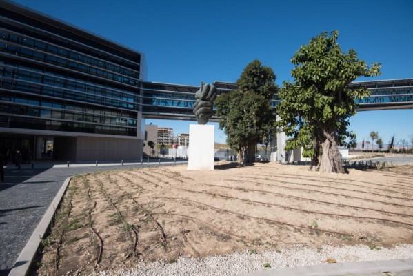 La EUIPO, el edificio más verde de España descubre sus secretos por primera vez