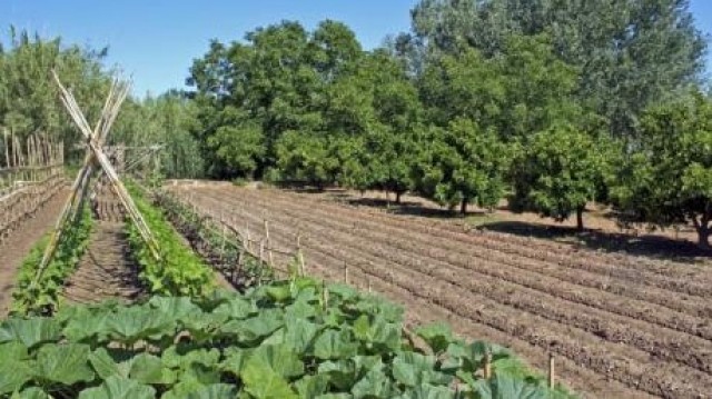 Xilxes estudia crear una escuela taller de cultivo ecológico para ofrecer nuevas vías de empleo