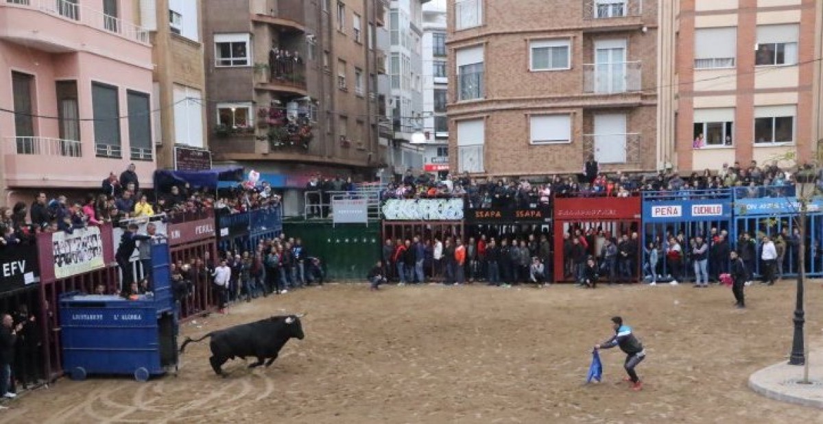 Aspecto del recinto de toros de l'Alcora durante una pasada edición de las fiestas del Cristo del Calvario. - 