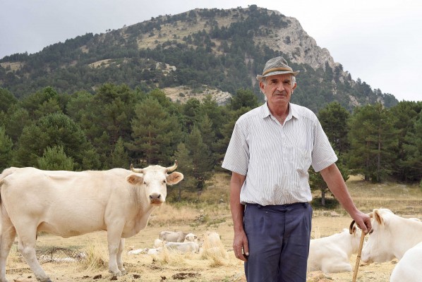 Gregorio Benages, l'Home del Penyagolosa: el último pastor del Gegant de pedra se jubila
