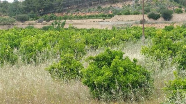 Riba-roja investigará al PP por el pago de 3,4 millones por un suelo valorado en 879.000 euros