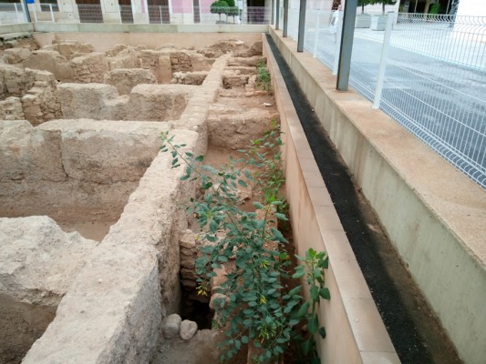 Cultura atribuye a Aparcisa la obligación de conservar los Baños Árabes del Mercado de Elche
