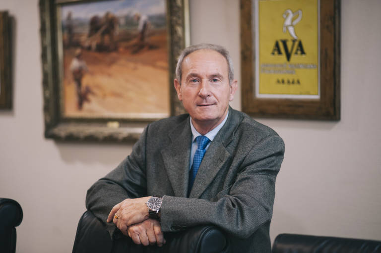 AVA-Asaja alerta de que los cítricos sudafricanos llevan cinco interceptaciones 