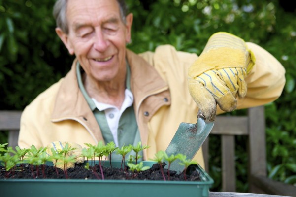 La jardinería ayuda a los mayores tanto a nivel cognitivo como en la mejora de actividades