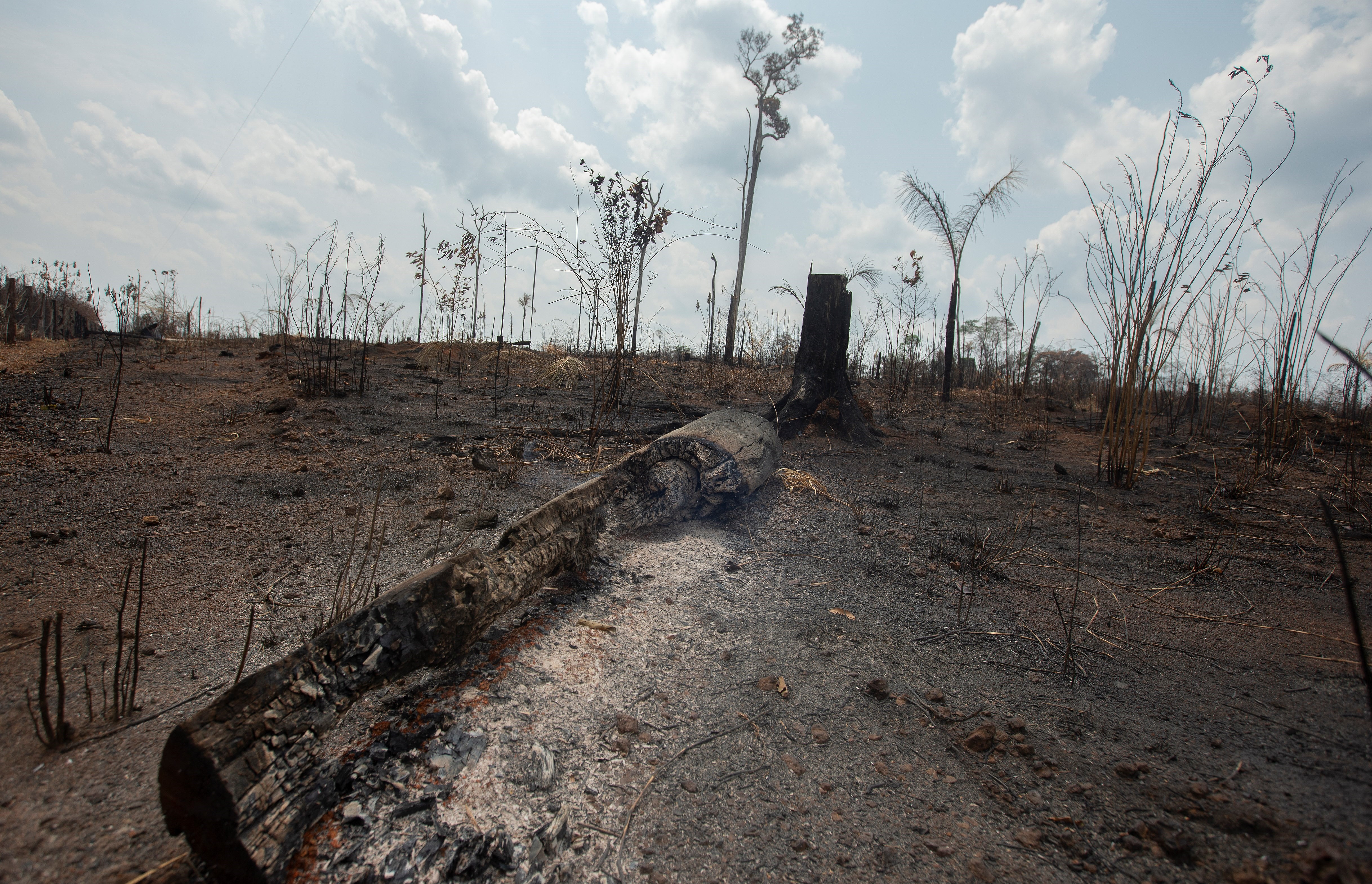 Naufragios políticos 